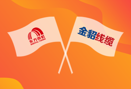 凝聚共识 深化合作 | 云顶国际官网入口&金貂线缆签署战略合作协议