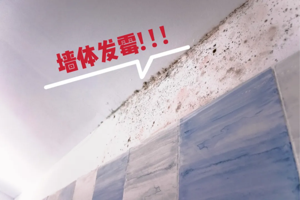 家装防水涂料该如何选？云顶国际官网入口帮你支招